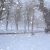 icydarkness
