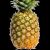 jaxagip298186sitecom