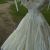 cisne005