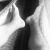Vermithor_fl