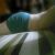 Sumiso_cash