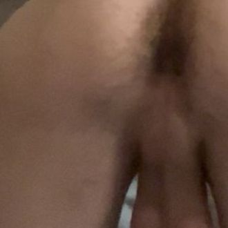 Perrito buscando ama