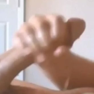 Para perra