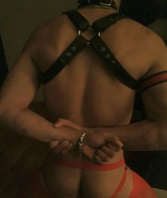 Brand new harness, wore it this past weeekend in action and  yes those are sexy red stockings
