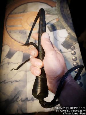 llego un nuevo juguete a casa