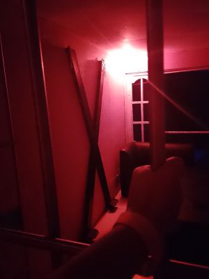 El placer de observar desde la jaula, cuando tu ama proporciona placer a otra persona / #EspiritualBDSM